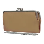 Elegant Clutch Purse With Chain Strap