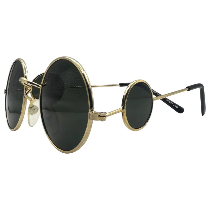 Stylish Gold-Framed Round Sunglasses - Image 1